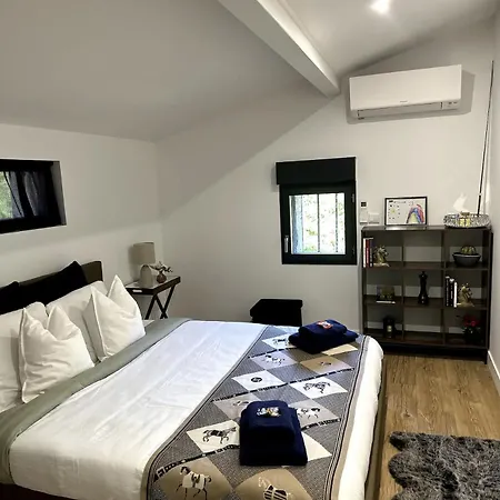 Dans De Standing Montaigut-sur-Save