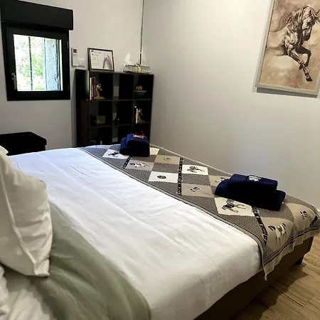 Dans De Standing * Montaigut-sur-Save