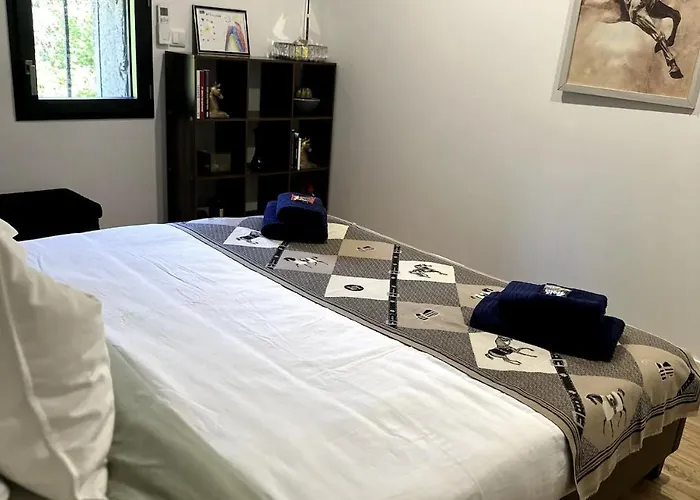 Dans De Standing * Montaigut-sur-Save